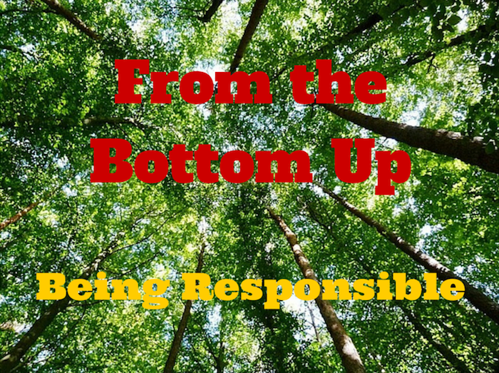 From the Bottom Up - Being Responsible