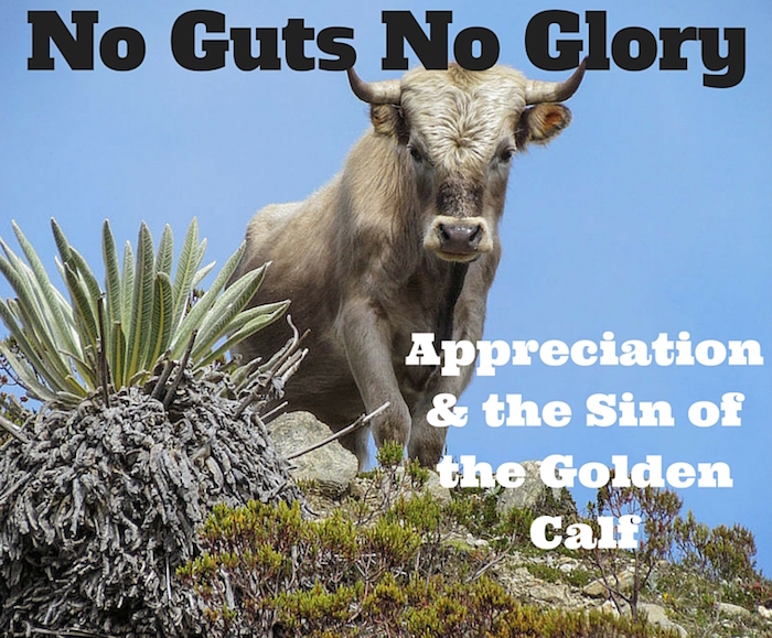 No Guts No Glory – Appreciation and the Sin of the Golden Calf