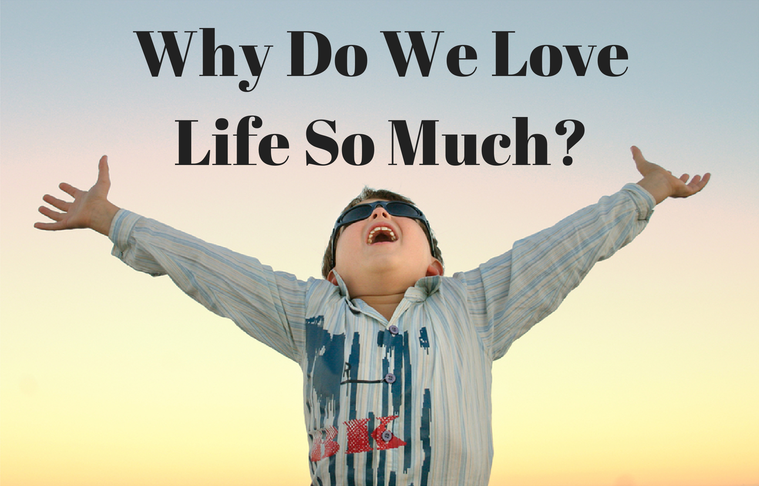 021 Why Do We Love Life So Much – Our True Desire for Life