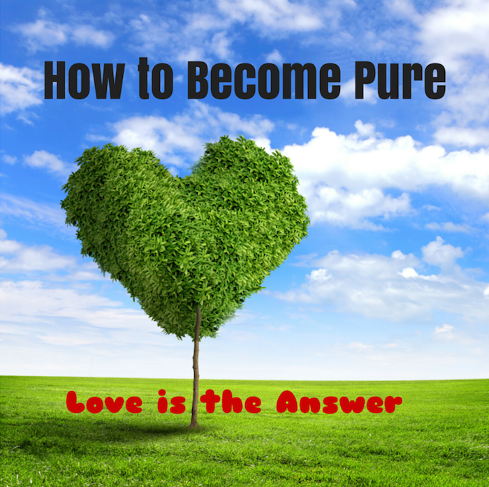 How to Become Pure