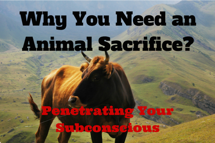Why you need an animal sacrifice