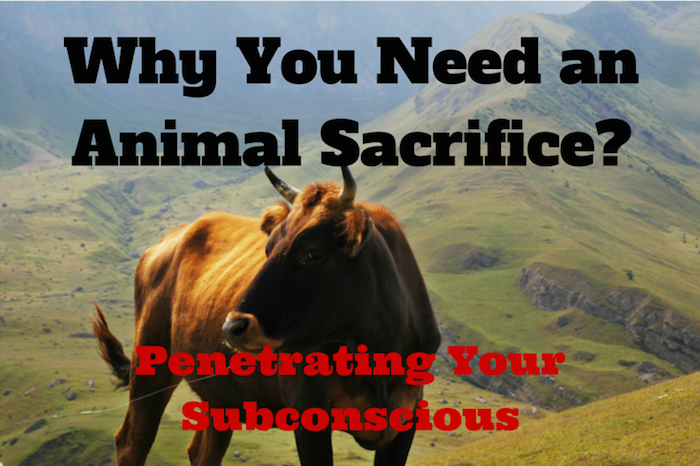 050 Why You Need an Animal Sacrifice – Penetrating Your Subconscious