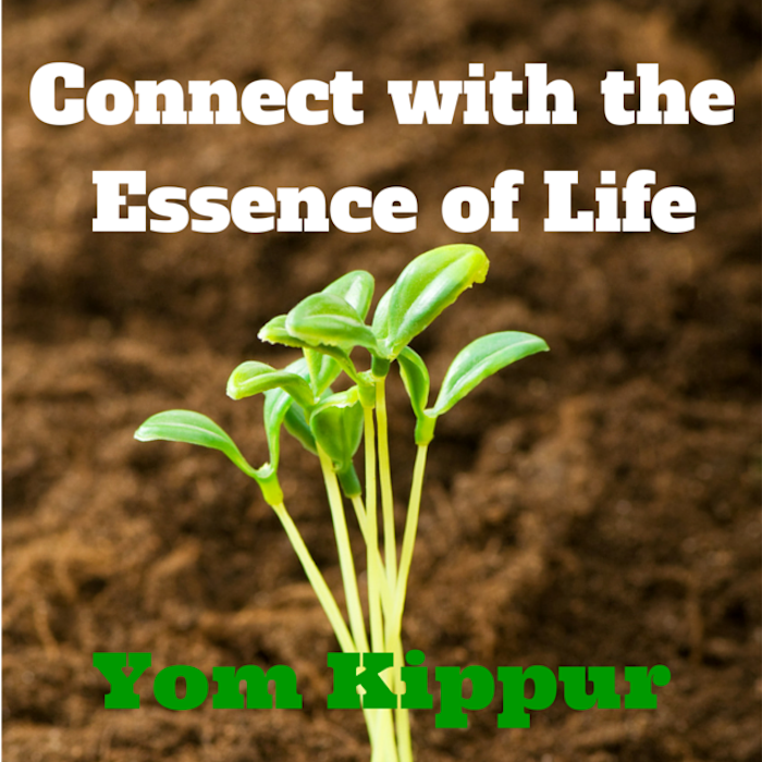 Connect with the  Essence of Life - Yom Kippur