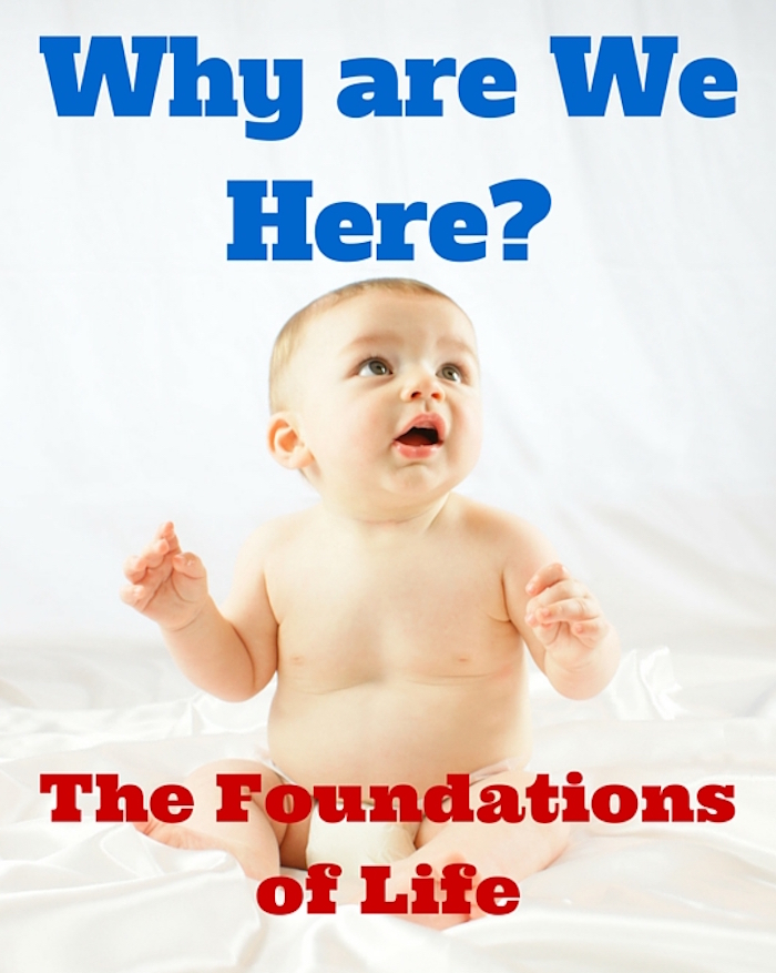 101 Why are We Here – The Foundations of Life